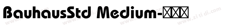 BauhausStd Medium字体转换